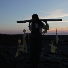 The Will In These Skies