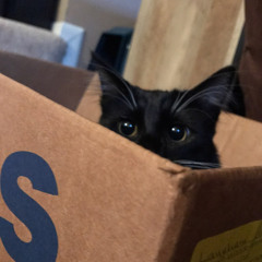 Hailey Coodey