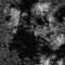 1/f