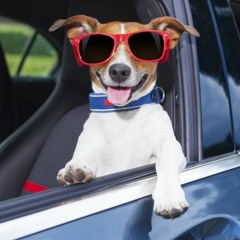 Michael David Redford