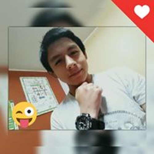 Wilder De La Cruz Salazar’s avatar