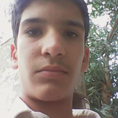Amirhosein Saadat