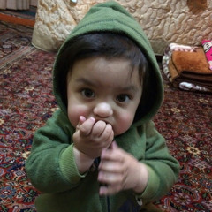 omid sherzad