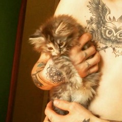 ЖЕНЯЖЕРТВАГОМОСЕКА