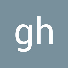gh salehi
