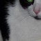 ben