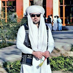 najeeb mengal