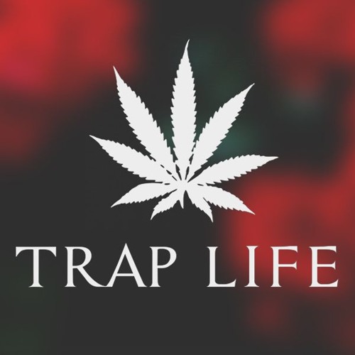 TRAP LIFE’s avatar