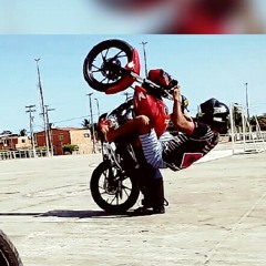 Bixeiro Do Grau