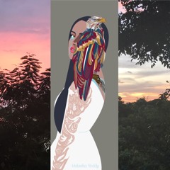 WildBird Sunset over Atlas