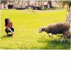 Pilar La Serna Fernandez