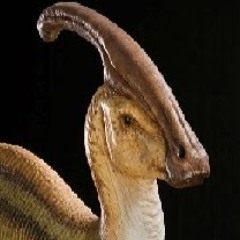 Mr Parasaur