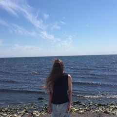 Det Odiskutabla Slutet