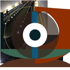 A Walk In The Anthropocene