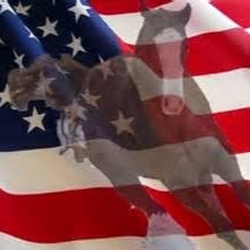 Stream Brandi Wiseman music Listen to songs, albums, playlists for