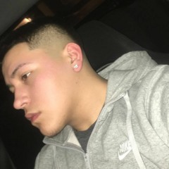 Young Shark