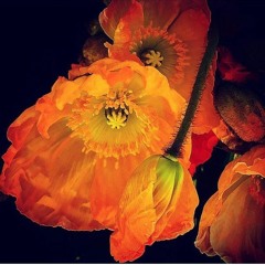 FlorencedeGramont