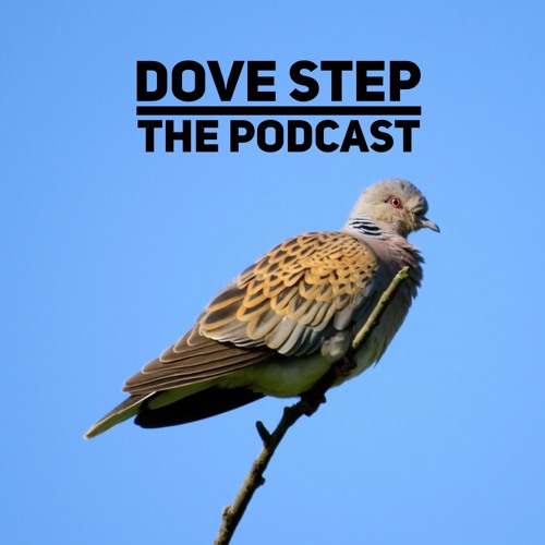 Dove Step Episode 25