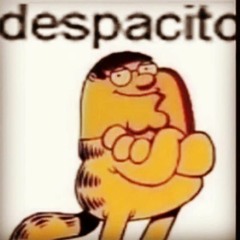 Eirik Kvestad Kråkevik