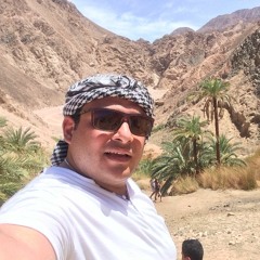 Adel Gerges