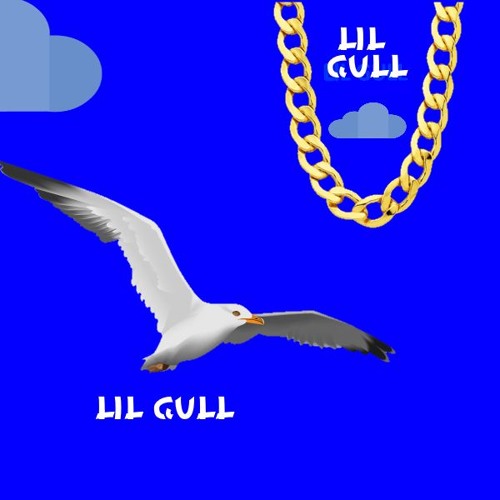 lil gull’s avatar