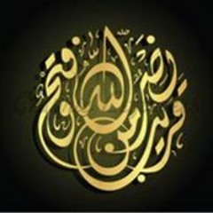 Mohamed Said Abdelkhalek