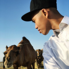 Hmza Fahz
