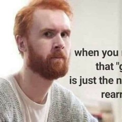 sliceoGinger