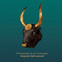 resplandordeluciernagas