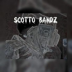 Scotto_Bandz