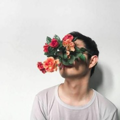 visualnaut