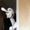 Noseybonk