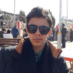 abdulmalik Altaee