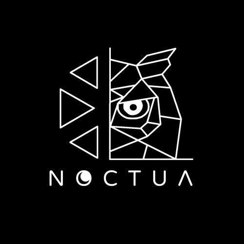 Noctua’s avatar