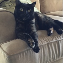 T-Belle