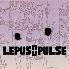 Lepus & Pulse