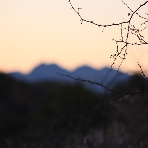 For Our Common Home- Resounding Ecojustice by Linda J. Chase