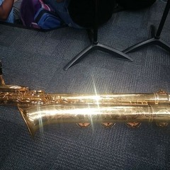 FlyingPurpleUnicorn101