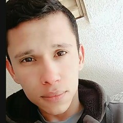 Elvis Marques