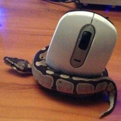 Sneaky Snek’s avatar