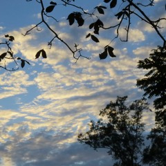 Wellingtons Sharon's gingers granddaughter records