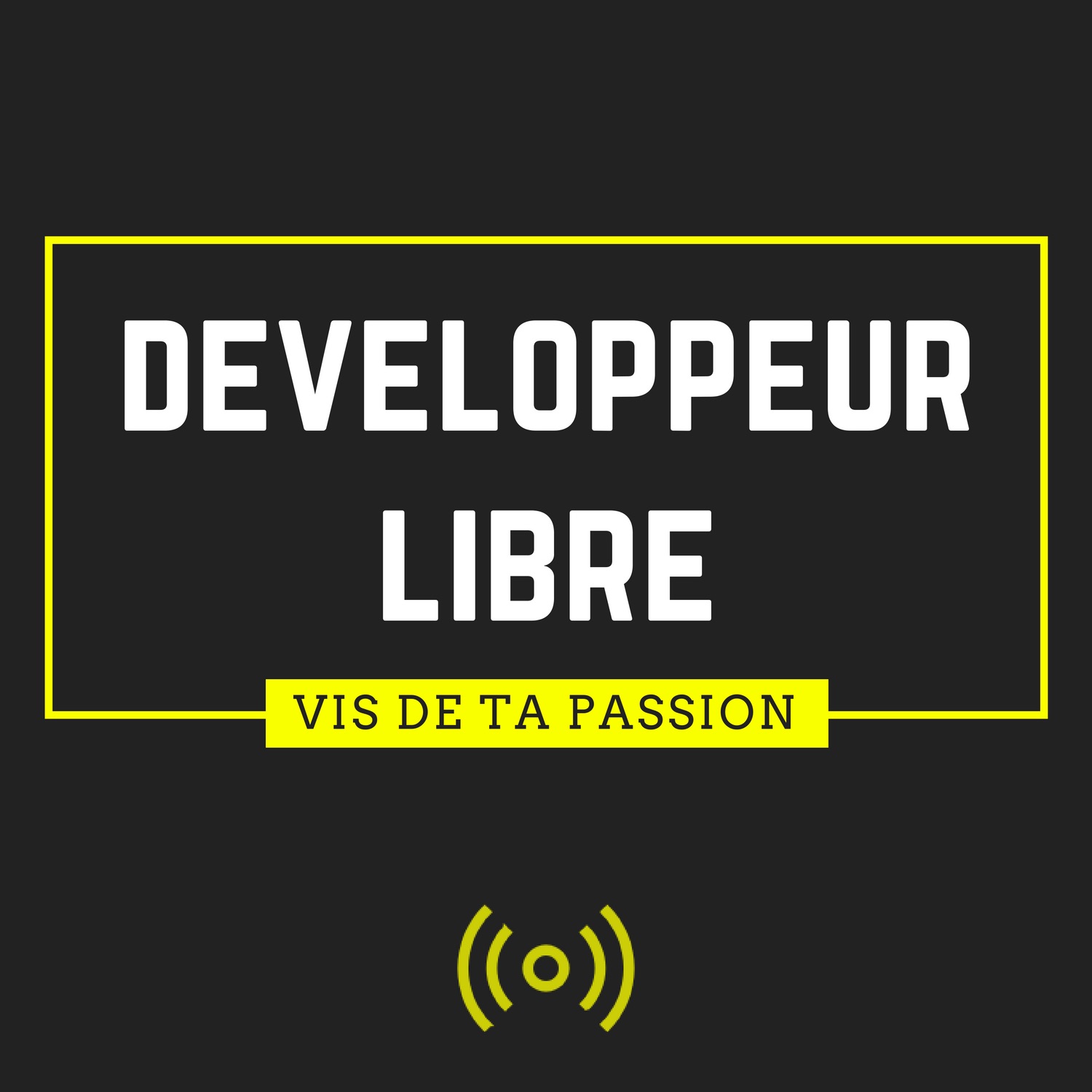 Développeur Libre