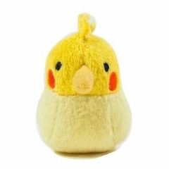 伊澤純一（じゅんぽ）