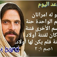 مايكل صفوت