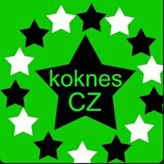 koknes cz