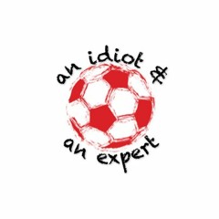An Idiot and an Expert Podcast
