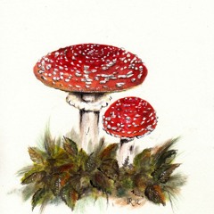 Der kleine Helge & Friends.