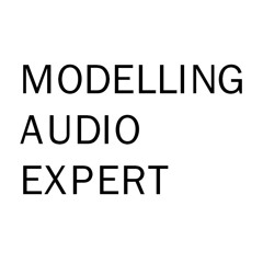 Modelling Audio Expert