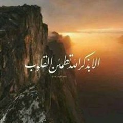 هاني احمد