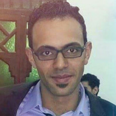 Mohamed Ibrahim